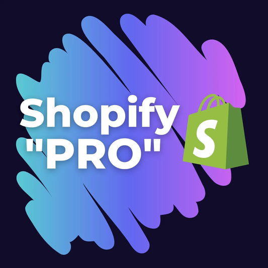 mokamas internetines shopify parduotuves valdymo kursas