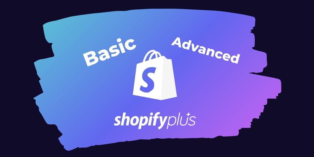 shopify elektroniniu parduotuviu kainos ar planu analize